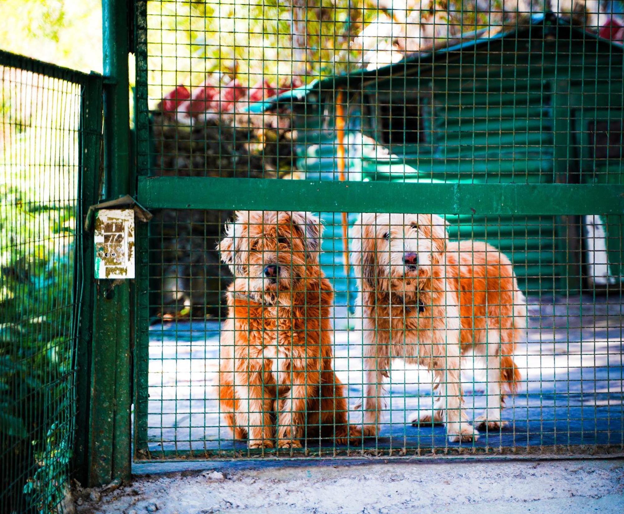 La Villa Bethany Mussoorie Zewnętrze zdjęcie